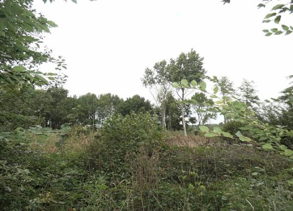 Terrain à vendre    Saint-Germer-de-Fly