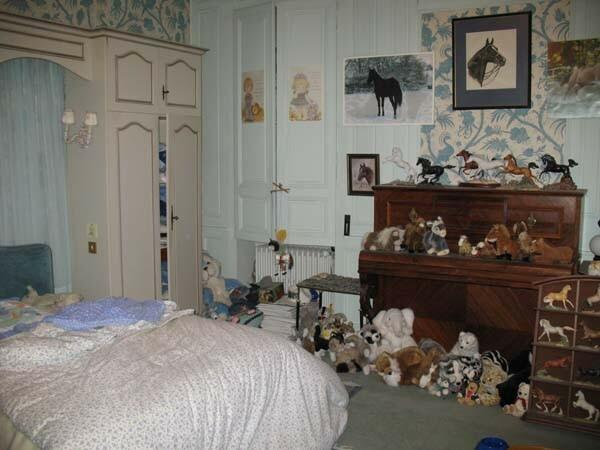 Propriété bourgeoise centre CHARNY