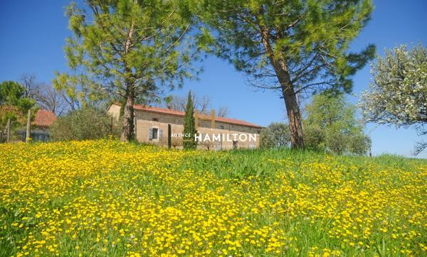 PROPRIETE AVEC GITES ET SALLES DE RECEPTION-REUNION Gaillac