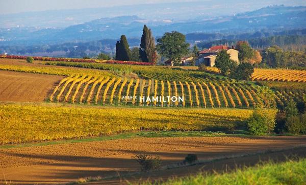 PROPRIETE AVEC GITES ET SALLES DE RECEPTION-REUNION Gaillac