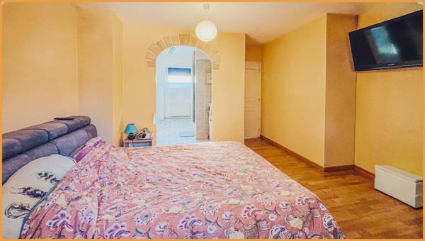 Nature et potentiel en lisière de forêt