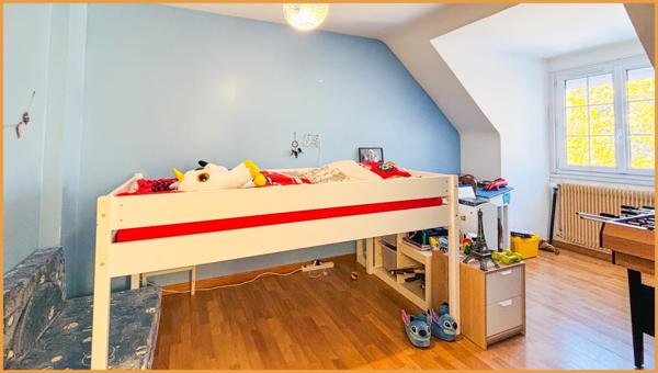 Nature et potentiel en lisière de forêt