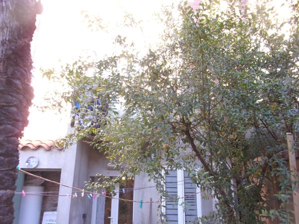 Immeuble 14 pièces - 207 m²