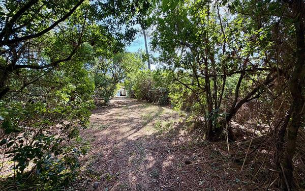 Cap Ferret limite 44 hectares , accès plage du Mimbeau, superbe terrain de 100 0 m2 avec PC purgé pour construction d’une villa bois de 125m2