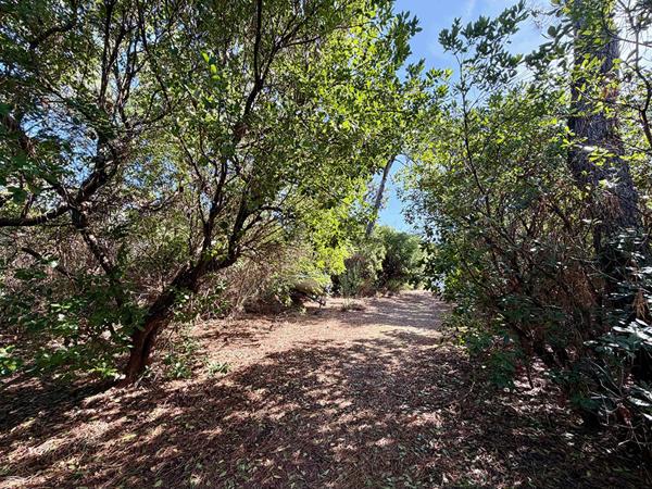 Cap Ferret limite 44 hectares , accès plage du Mimbeau, superbe terrain de 100 0 m2 avec PC purgé pour construction d’une villa bois de 125m2