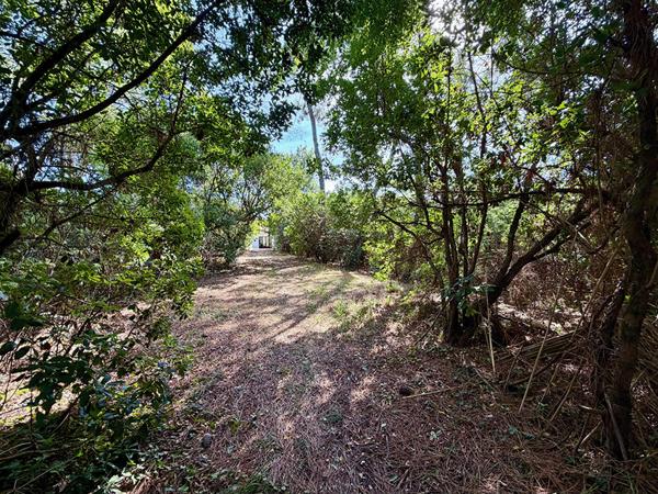 Cap Ferret limite 44 hectares , accès plage du Mimbeau, superbe terrain de 100 0 m2 avec PC purgé pour construction d’une villa bois de 125m2