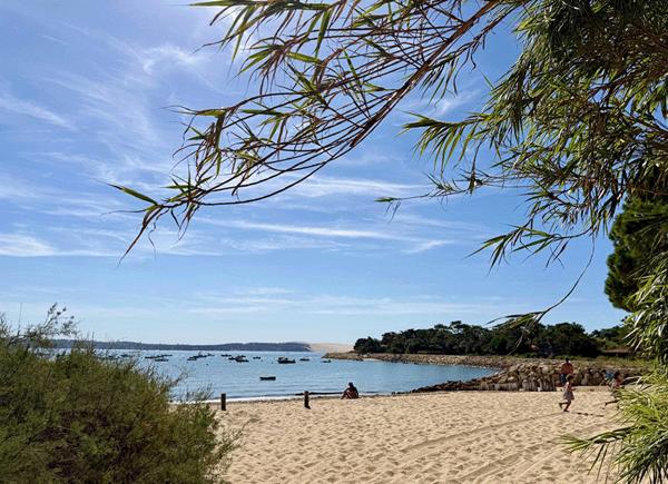 Cap Ferret limite 44 hectares , accès plage du Mimbeau, superbe terrain de 100 0 m2 avec PC purgé pour construction d’une villa bois de 125m2