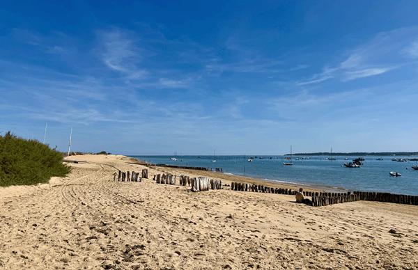 Cap Ferret limite 44 hectares , accès plage du Mimbeau, superbe terrain de 100 0 m2 avec PC purgé pour construction d’une villa bois de 125m2