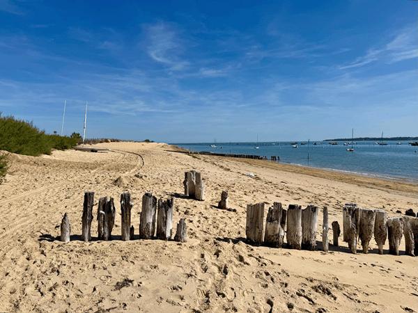 Cap Ferret limite 44 hectares , accès plage du Mimbeau, superbe terrain de 100 0 m2 avec PC purgé pour construction d’une villa bois de 125m2