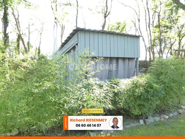 Chalet 45m² confortable avec jardin aménagé en camping