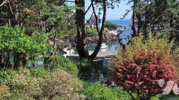 DOELAN- VUE SUR LE PORT - Maison d'habitation avec jolie vue Mer et Port composée d'un espace c...