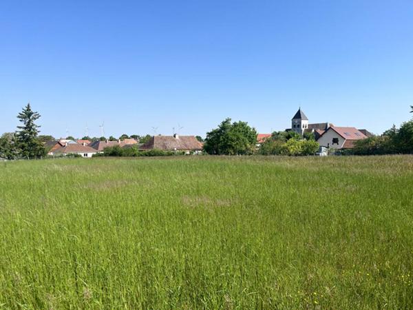 Terrain constructible pour partie, 7090 m2