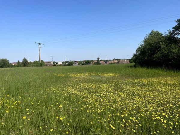 Terrain constructible pour partie, 7090 m2