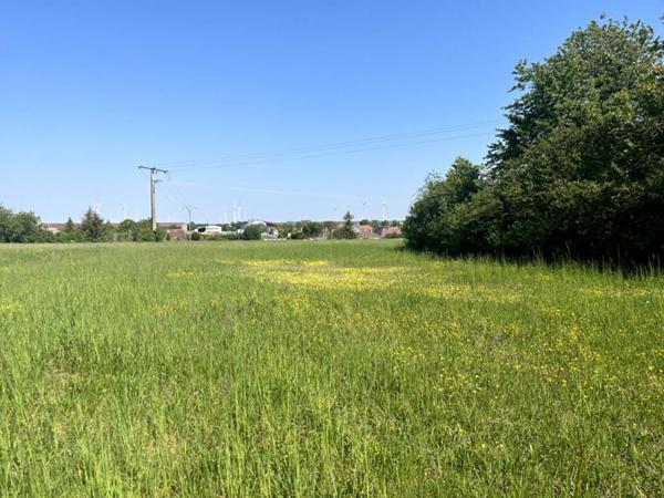 Terrain constructible pour partie, 7090 m2