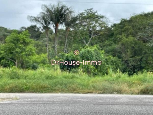 Terrain à vendre de 963 m²