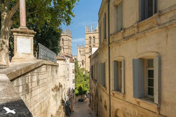 Appartement 262 400 € Montpellier 2 p 50 m² DPE E