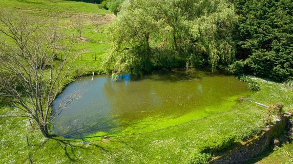 Propriété de caractère Vallée de la dordogne Argentat