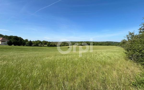 Terrain à vendre    Chasteaux