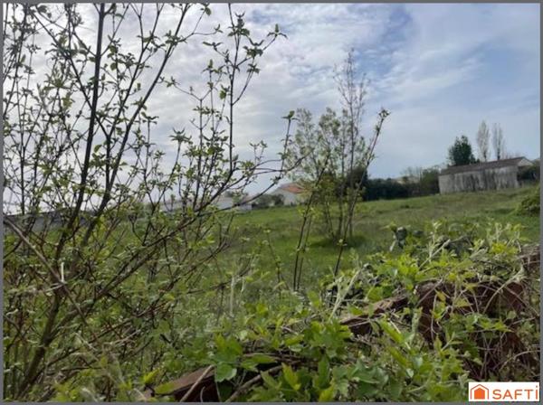 Libre de constructeur !