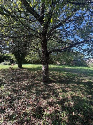Pavillon à vendre à Argenton-sur-Creuse dans l'Indre (36200), ref : 037/2557