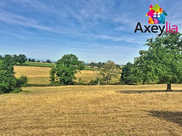 À VENDRE - ST-HILAIRE-S/S-CHARLIEU - MAISON 8 PIÈCES AVEC DÉPENDANCES SUR TERRAIN 4731M2