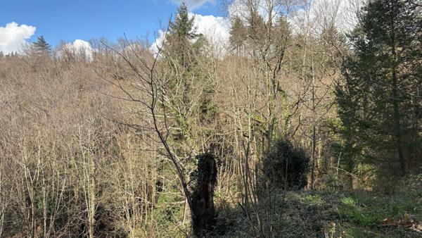 Saint-Baudille – Maison 83 m² 3 chambres au calme avec terrasse