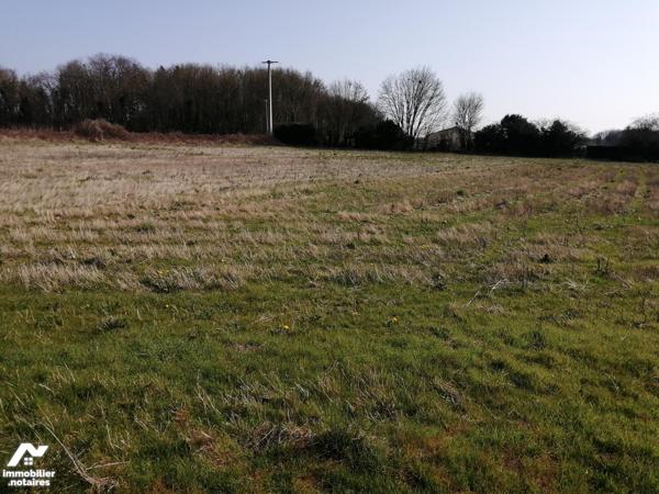 TERRAIN A BATIR SUR LA COMMUNE DE LA CHEVRERIE (16) DE 5640 m²
