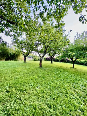 Terrain de 1 000 m²