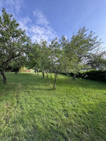 Terrain de 1 000 m²