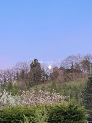 Terrain de 1 000 m²