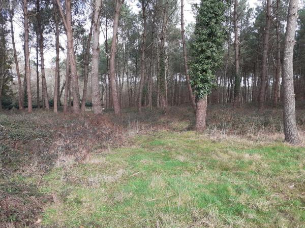 Fermette à vendre à Saint-Biez-en-Belin dans la Sarthe (72220), ref : 023/2103