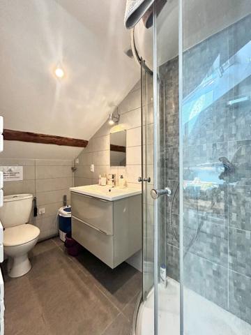 Appartement Saint Etienne 1 pièce
