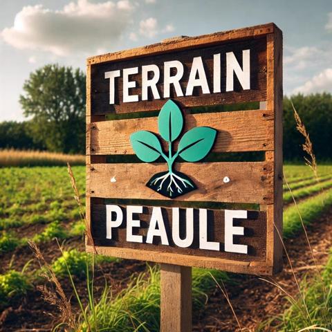 Terrain constructible