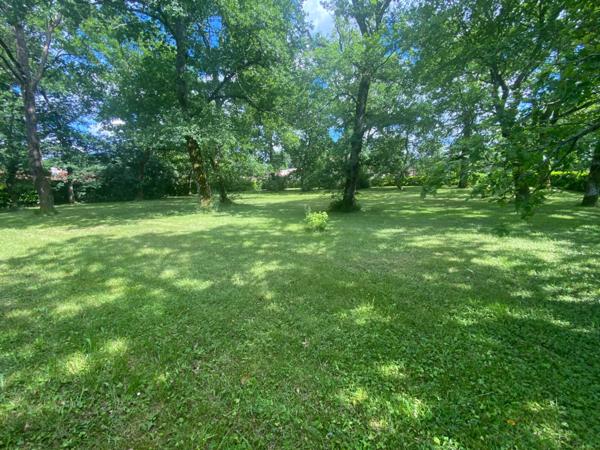 Très grande Maison Landaise de 280M2 avec piscine et grand terrain boisé de chênes à SAINT PIERRE DU MONT (40)