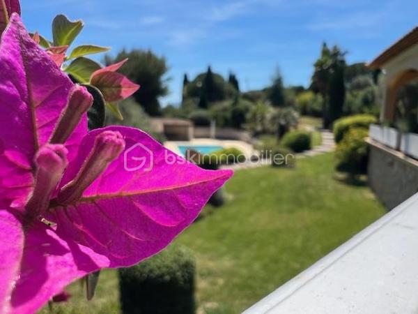 Découvrez cette propriété d’exception où élégance, volumes et douceur de vivre se rencontrent dans un cadre privilégié.

Édifiée sur un magnifique terrain de 3 939 m², cette villa de prestige développe près de 240 m² habitables, répartis entre une villa principale de plain-pied de 160 m² et une dépendance indépendante de 80 m². Un lieu pensé pour ceux qui recherchent espace, confort et sérénité, avec une vue dégagée remarquable sur les montagnes, la ville et la mer.

Dès l’entrée, la lumière s’invite naturellement grâce aux larges baies vitrées qui habillent le spacieux séjour et prolongent les espaces vers une terrasse généreuse et un jardin soigneusement aménagé. Son exposition Sud-Est sublime chaque instant de la journée.

Le salon s’ouvre harmonieusement sur une cuisine moderne, entièrement équipée et ouverte sur l’espace de vie.

L’espace nuit propose trois belles chambres, dont une superbe suite parentale avec dressing et salle de bain privative, complétées par une salle d’eau, deux WC, une buanderie ainsi qu’un bureau donnant accès au garage.

Au niveau inférieur, une dépendance indépendante de 80 m² offre de nombreuses possibilités : recevoir famille et amis, activité professionnelle ou investissement locatif. Elle se compose d’un vaste séjour avec cheminée et cuisine américaine, d’une suite parentale avec salle d’eau et rangements, ainsi que d’un accès à une cave et un espace extérieur de stockage.

Les extérieurs ont été pensés comme une véritable invitation à la détente : une grande piscine 12 x 6, un élégant pool house avec cuisine d’été, douche, WC et local technique, plusieurs espaces de repos, un terrain de pétanque et de vastes espaces verts.

Deux garages ainsi que de nombreux stationnements complètent ce bien rare.

Prestations supplémentaires : classement énergétique A, panneaux solaires, arrosage automatique, goutte-à-goutte, fosse septique, cuve à gaz, eau du Canal de Provence.

Un lieu où les réveils commencent avec une vue inspirante et où les journées semblent toujours avoir un parfum de vacances.

Un véritable havre de paix à découvrir sans tarder.