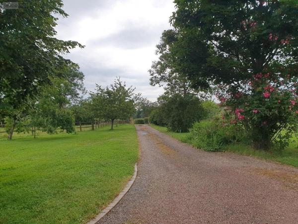 Propriete à vendre à Marcigny en Saône-et-Loire (71110), ref : 20313