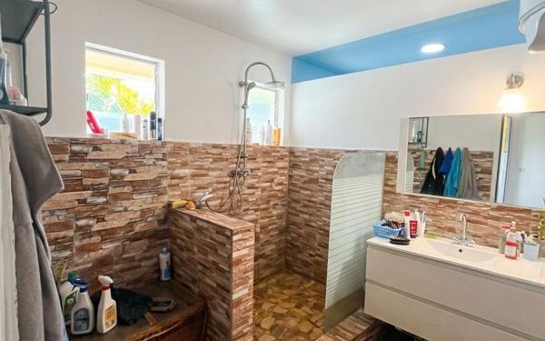 Maison à vendre    8 pièces •  Saint-Paul