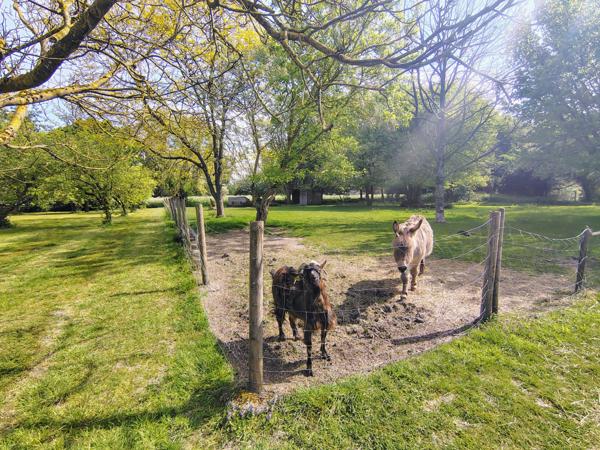 Fleurbaix (62840) EXCLUSIVITE, Authentique Ferme rénovée, exposée plein Sud, 260m2 habitables, 9000 m2.