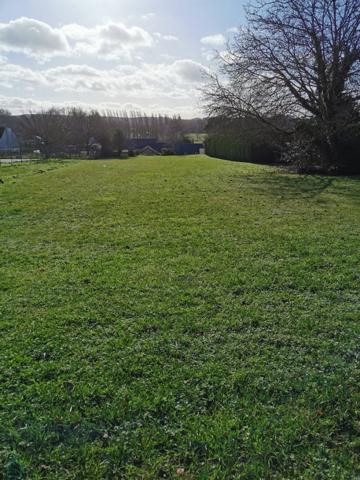 Terrain constructible