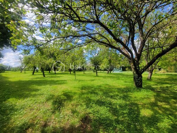 Terrain de 2 000 m²