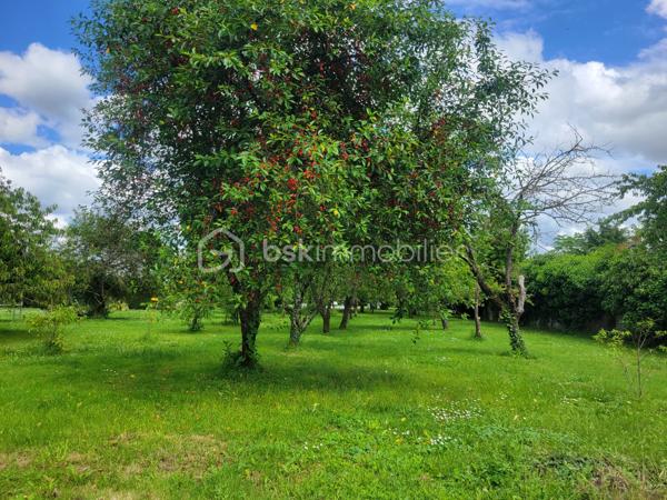 Terrain de 2 000 m²