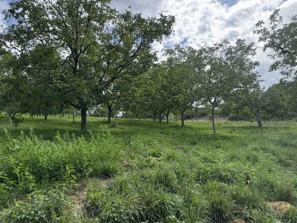 Terrain à vendre 32 000 € Saint-Cirq-Souillaguet 4710 m² DPE