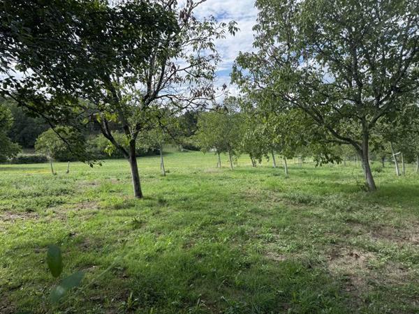 Terrain à vendre 32 000 € Saint-Cirq-Souillaguet 4710 m² DPE