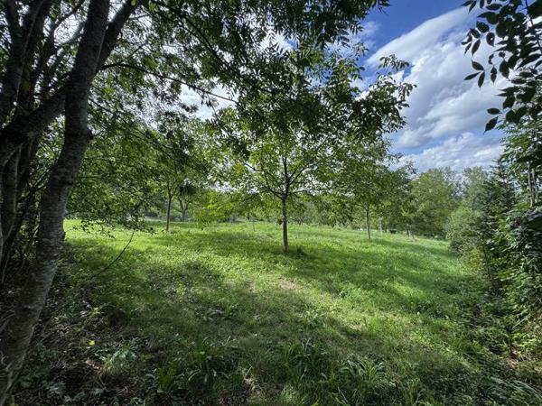 Terrain à vendre 32 000 € Saint-Cirq-Souillaguet 4710 m² DPE