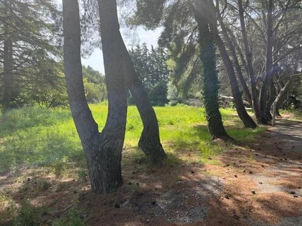 TERRAIN CONSTRUCTIBLE DE 614 m²