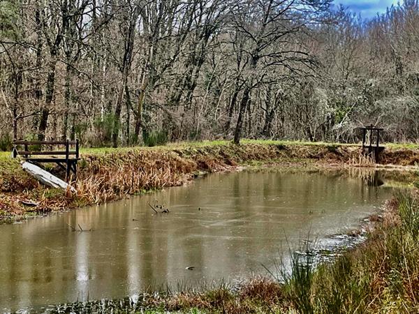 TERRAIN DE LOISIRS A VENDRE VILLEFRANCHE SUR CHER