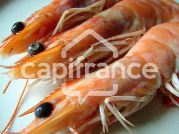 FINISTERE SUD (29) POISSONNERIE AMBULANTE 4 MARCHES HEBDO