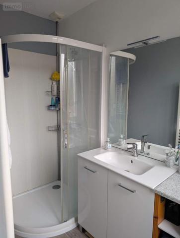 Maison à louer à Bessé-sur-Braye dans la Sarthe (72310), ref : 101/1958