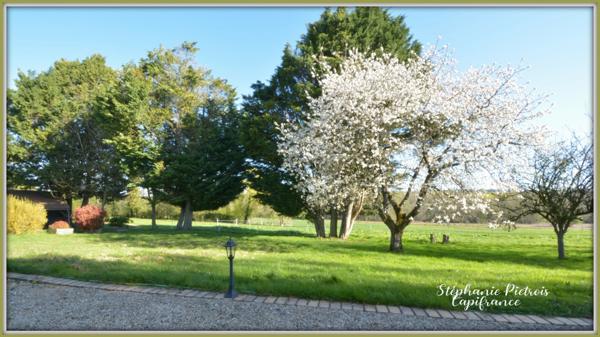 Charmante longère rénovée avec goût – En pleine campagne sur 4 hectares