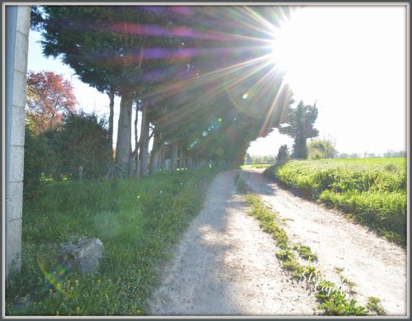 Charmante longère rénovée avec goût – En pleine campagne sur 4 hectares